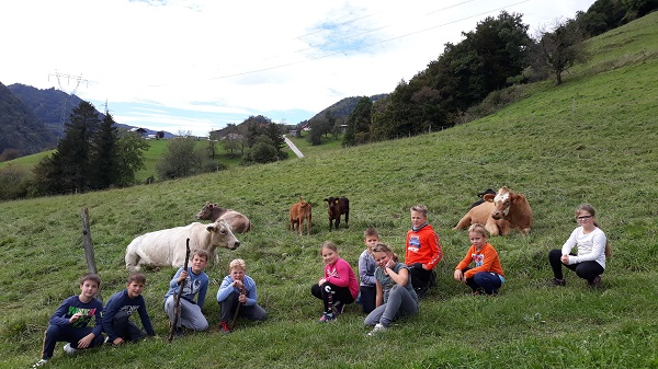 Grozdič je vse bolj rumen, šipek vabi, kostanj, dren
