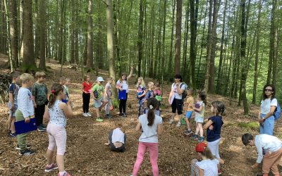 Prvošolci in drugošolci v gozdu