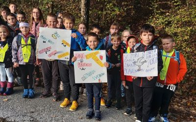 Mednarodni projekt »Pozdrav ptic miru«